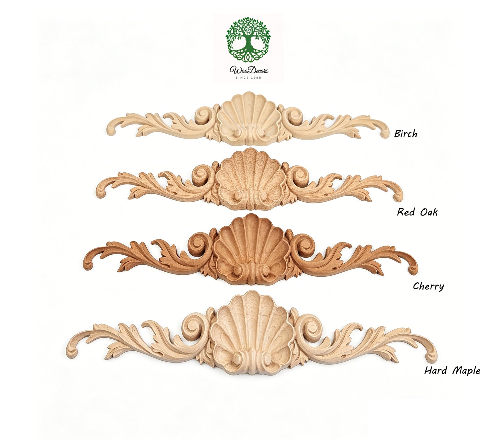 Shell Scroll Leaf Carved Wood Applique, Available in 15-1/2